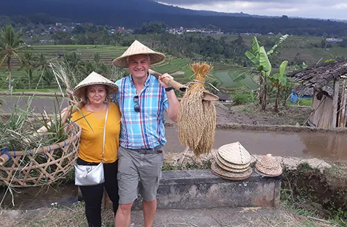 jatiluwih rice terrace bali