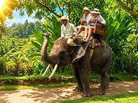 bali elephant tour