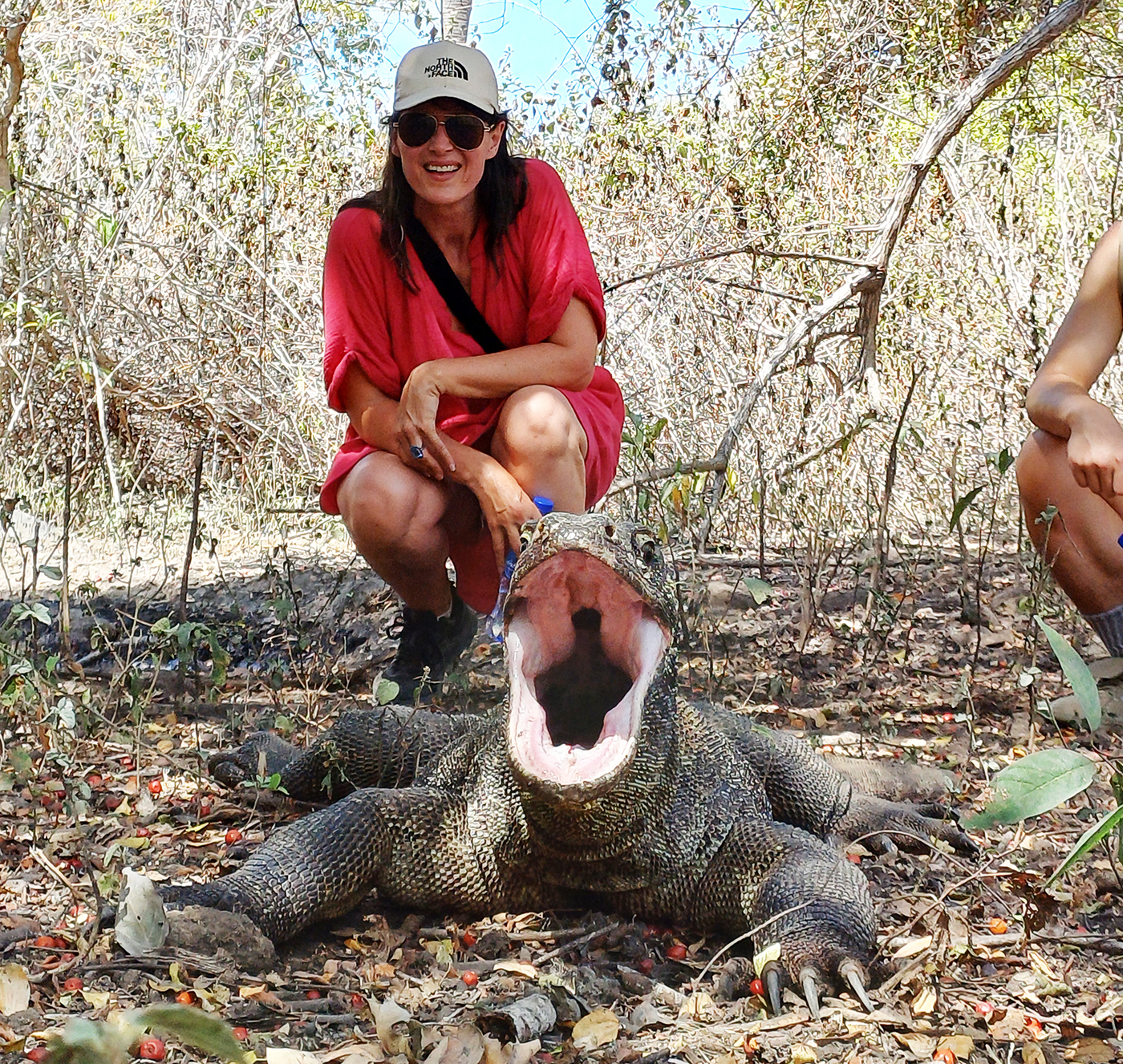  Komodo Tours